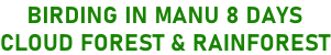 BIRDING IN MANU 8 DAYS CLOUD FOREST & RAINFOREST